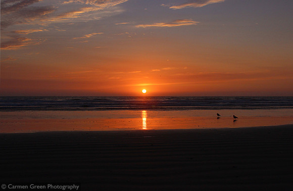 Pismo Beach California
