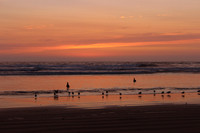Sunset and waders at Pismo Beach California