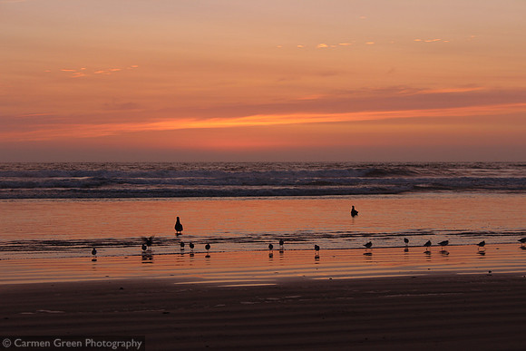Sunset and waders at Pismo Beach California