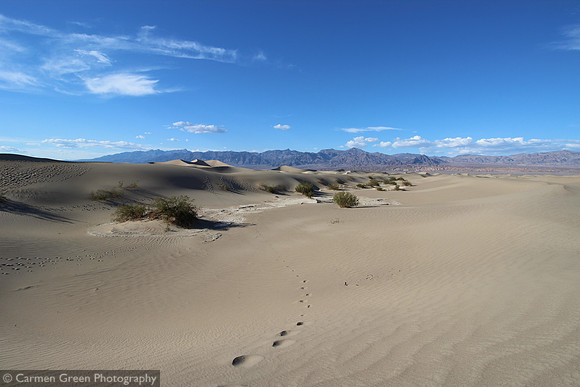 Mesquite Sand Dunes