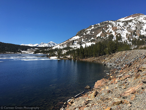 Tioga Lake, Yosemite National Park