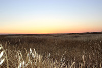 Sunset near Chowchilla, California