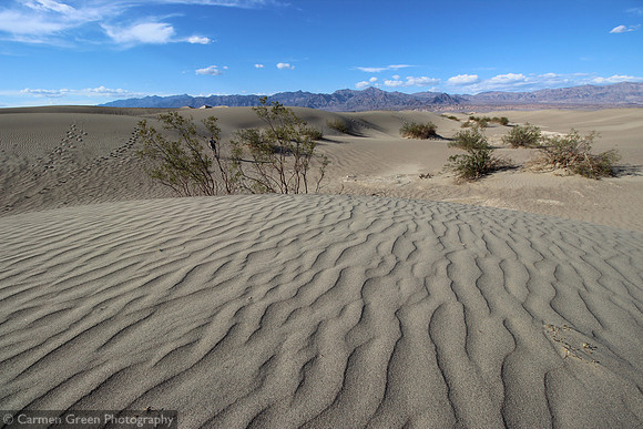 Mesquite Sand Dunes