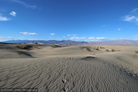 Mesquite Sand Dunes