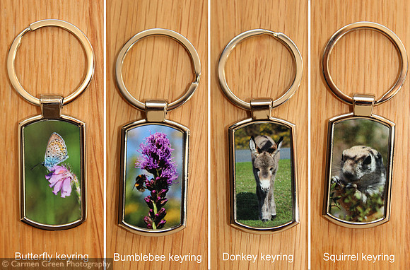 Keyrings